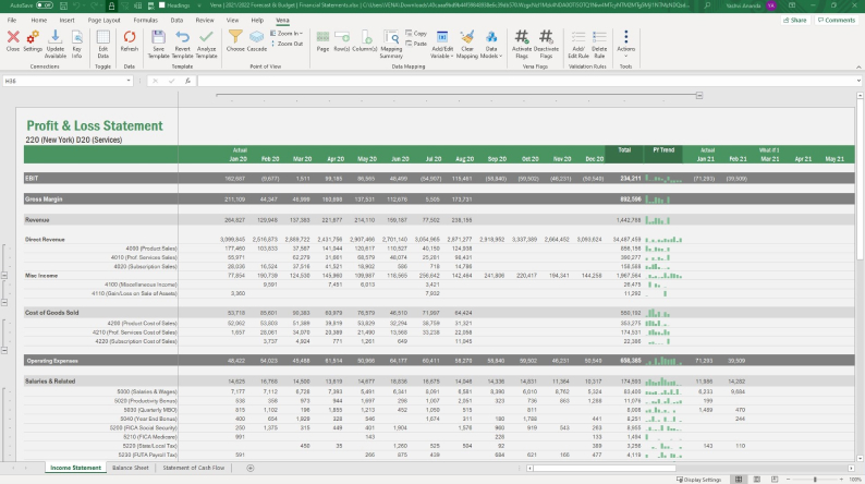 Screenshot of Vena's Profit and Loss statement template