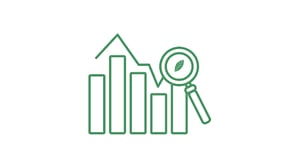 icon of bar graph with magnifying glass