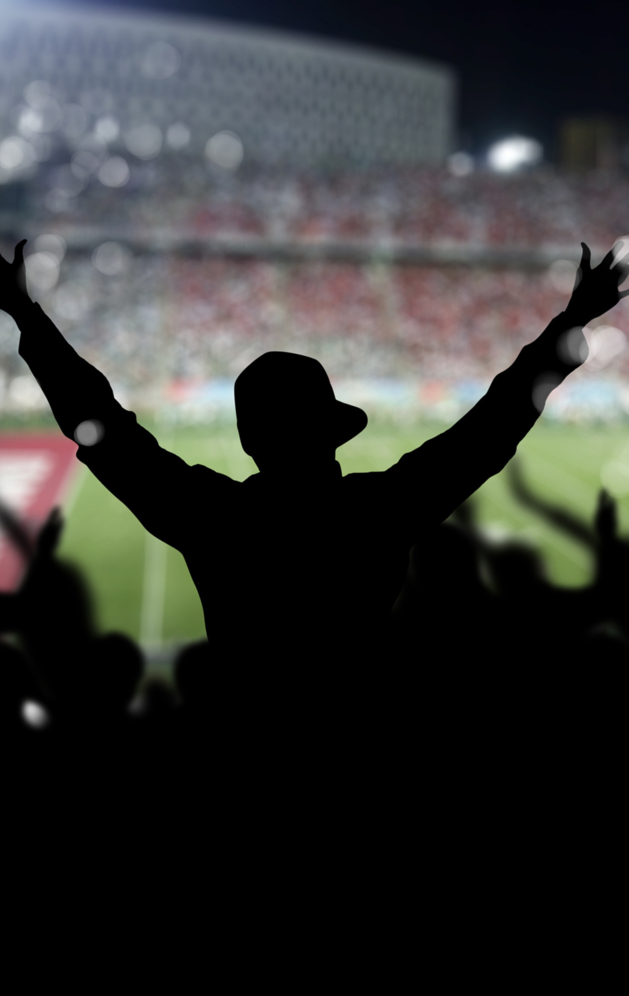 Stadium crowd at a football game (vertical)