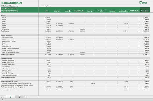 Screenshot of Vena's income statement template