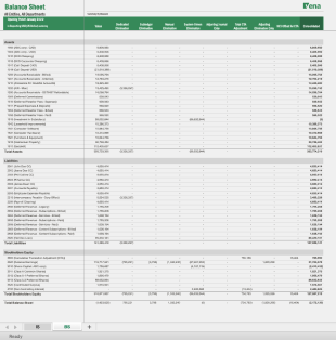 Screenshot of Vena's balance sheet template
