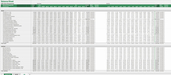 Screenshot of Vena's balance sheet template