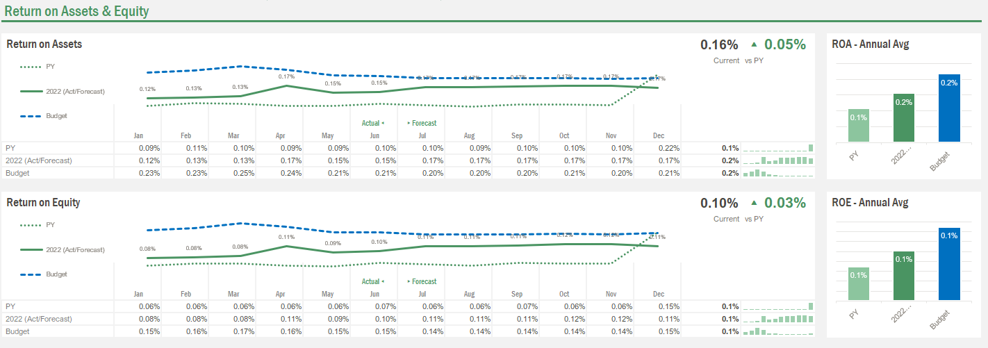 Screenshot of Vena's Return on Assets and Equity template