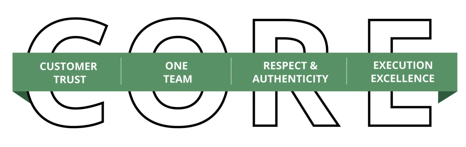 Vena Core Values Graphic Image