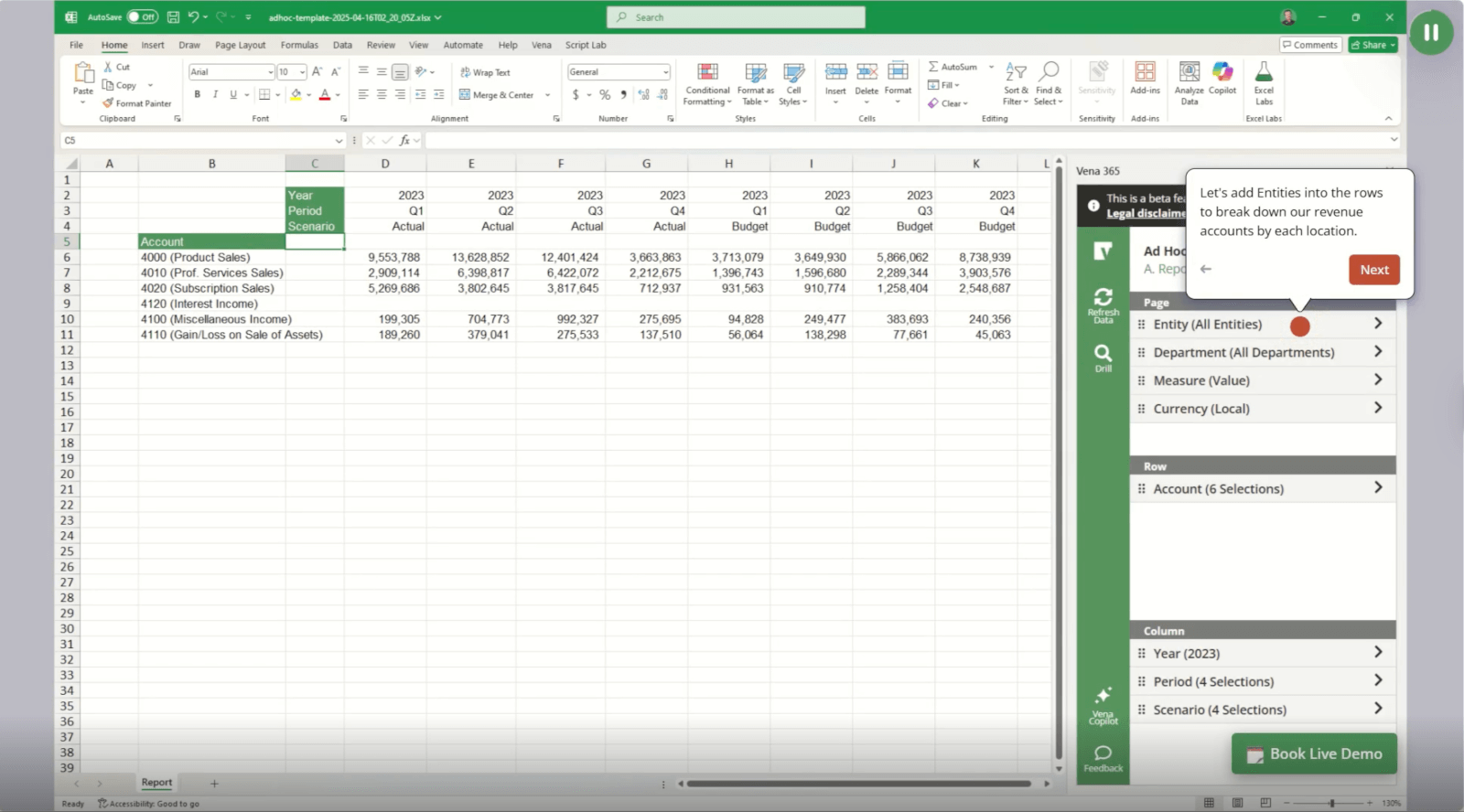 Vena Copilot Ad Hoc Entities